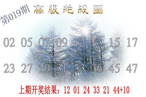 2025019期高级内部绝杀