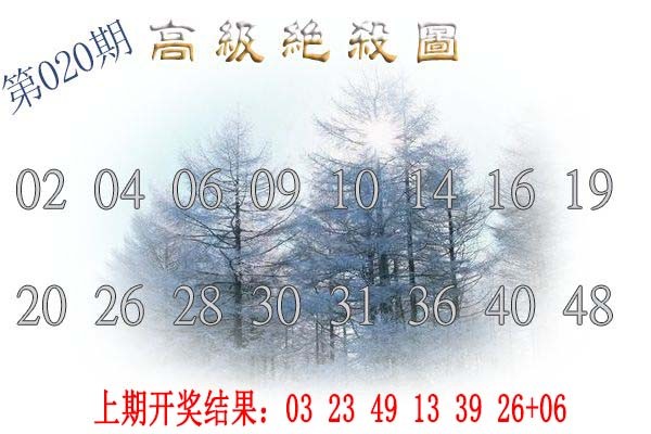 2025020期高级内部绝杀