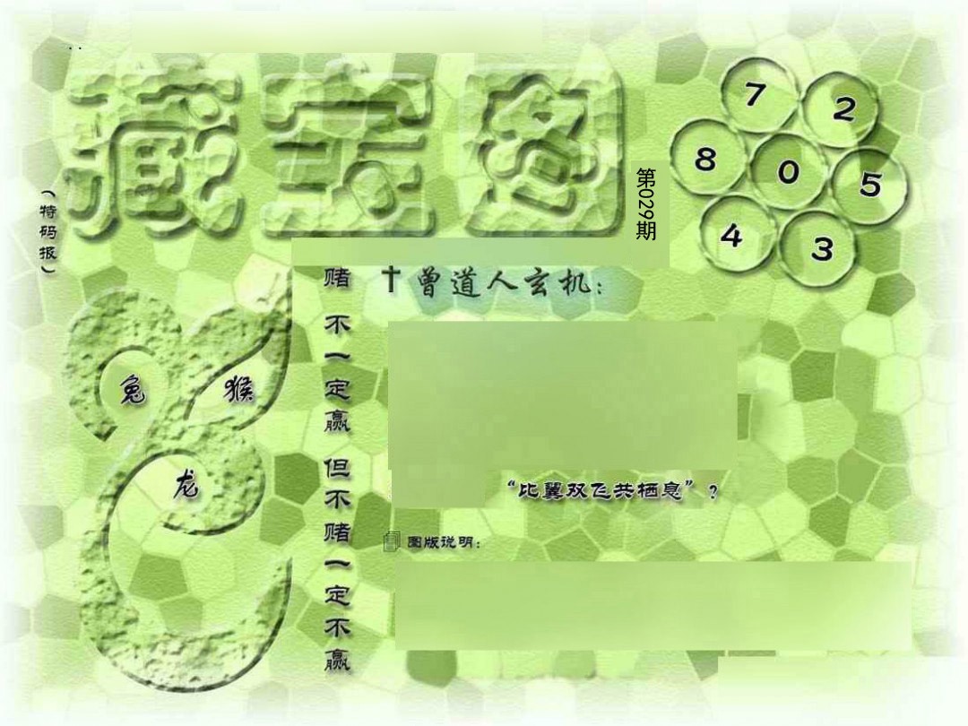 2025029期假新藏宝图