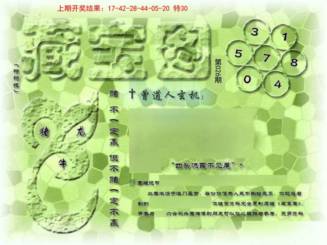 2025026期假新藏宝图