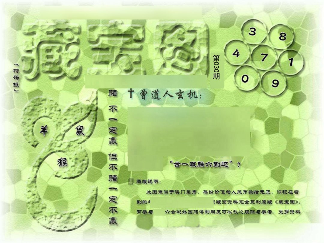 2025030期假新藏宝图