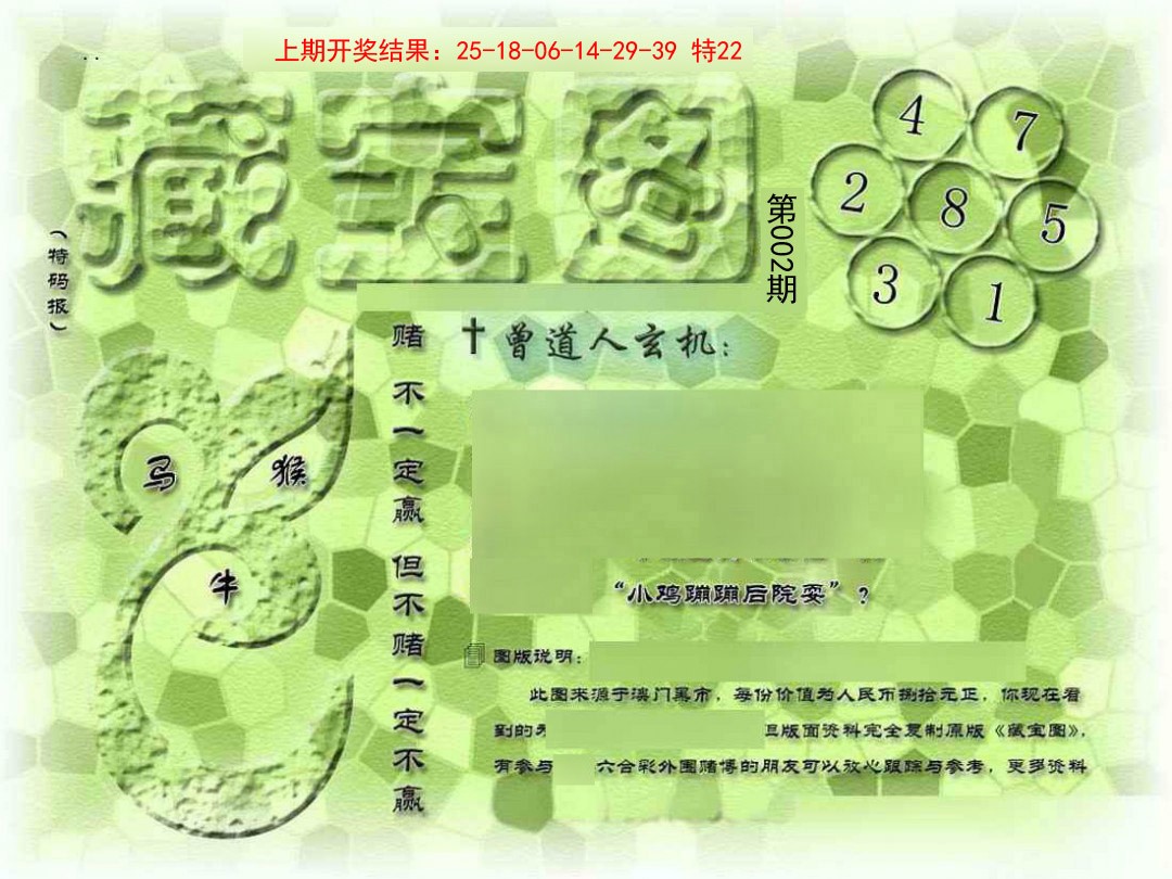 2025002期假新藏宝图