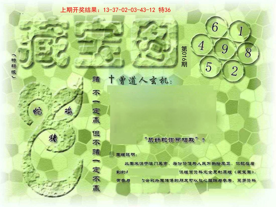 2025016期假新藏宝图