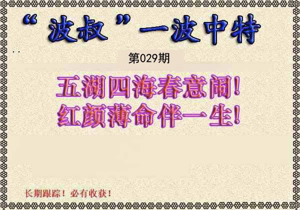 2025029期波叔一波中特