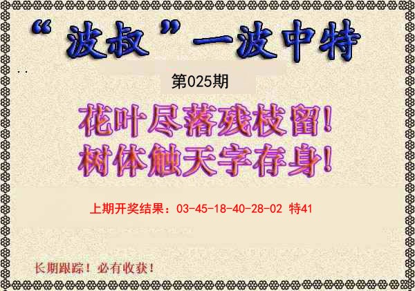 2025025期波叔一波中特