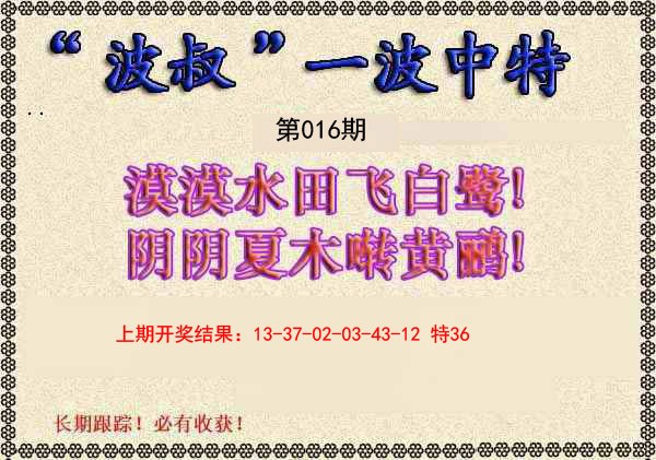 2025016期波叔一波中特