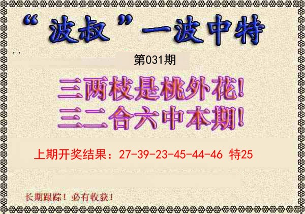 2025031期波叔一波中特