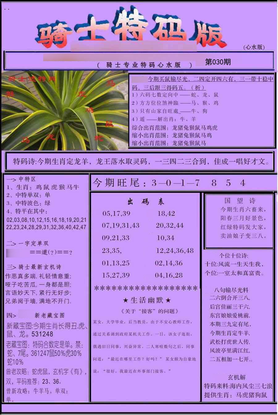 2025030期骑士特码版