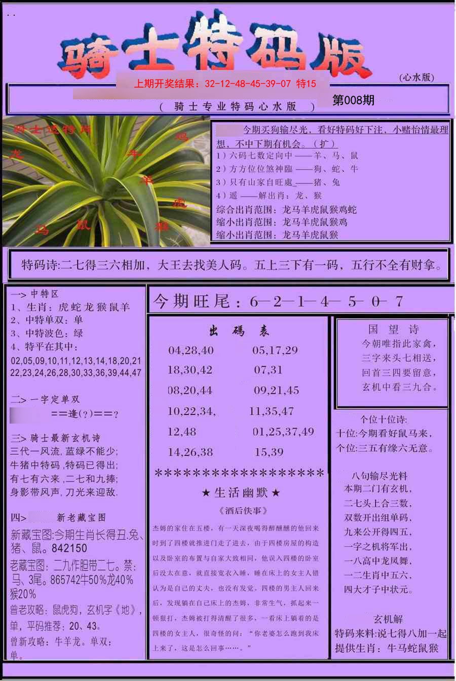 2025008期骑士特码版