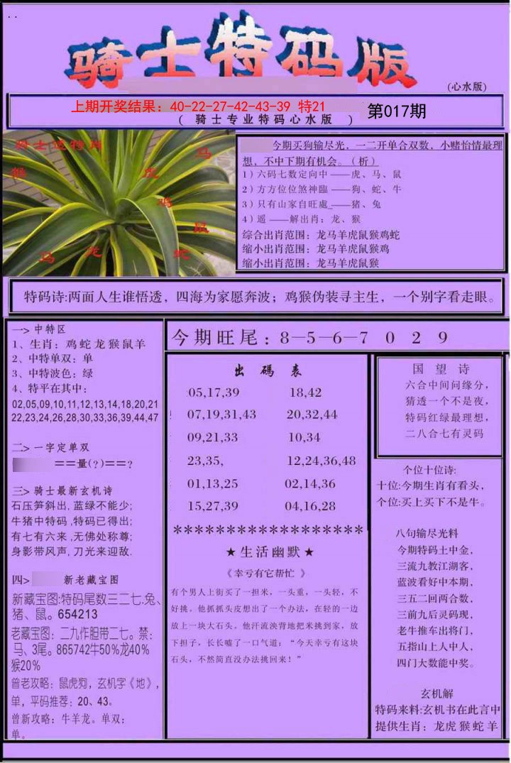 2025017期骑士特码版