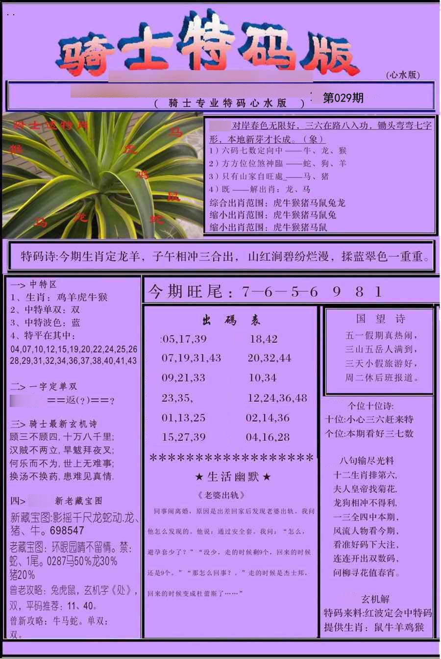 2025029期骑士特码版