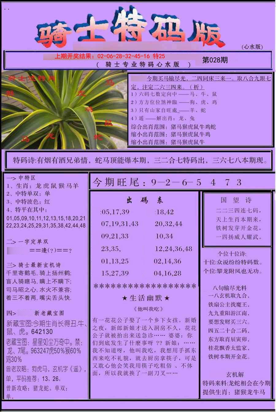 2025028期骑士特码版