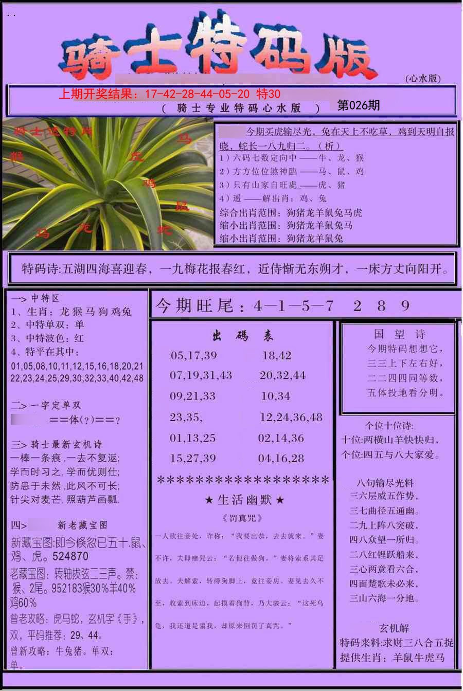 2025026期骑士特码版