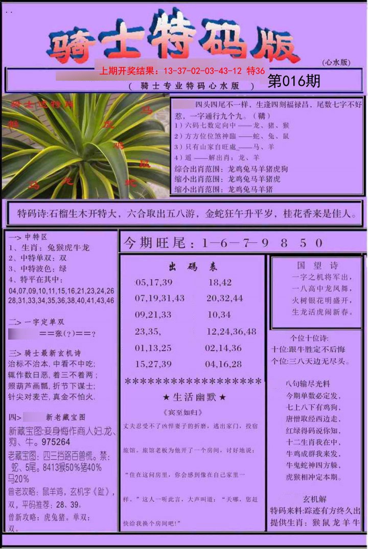 2025016期骑士特码版