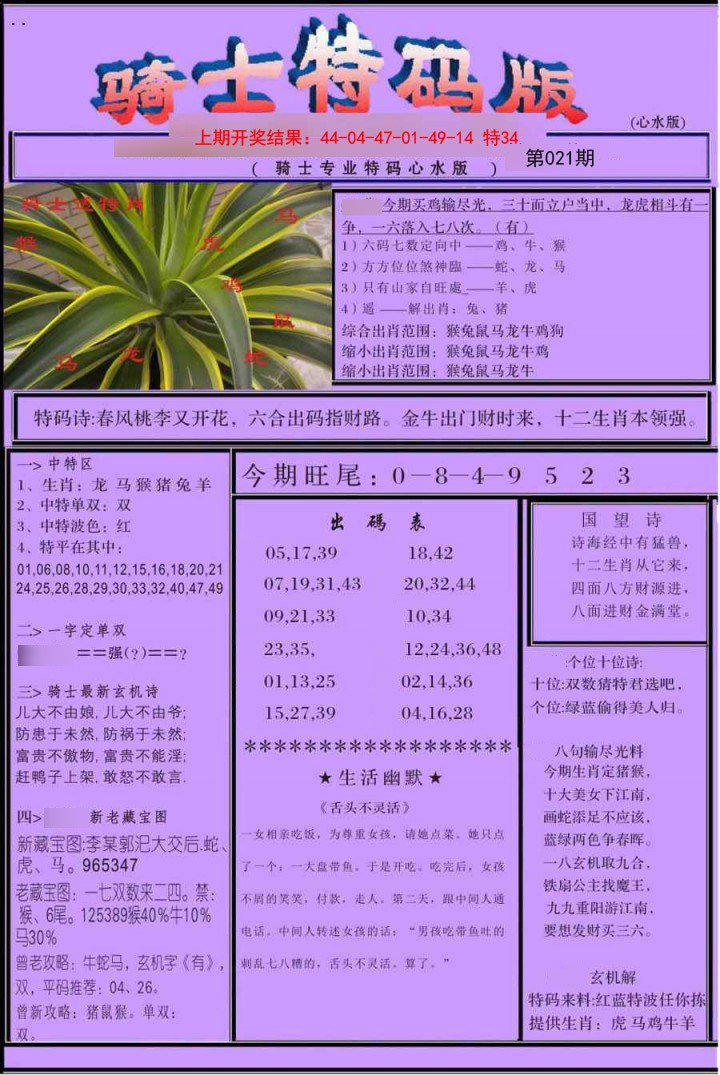 2025021期骑士特码版
