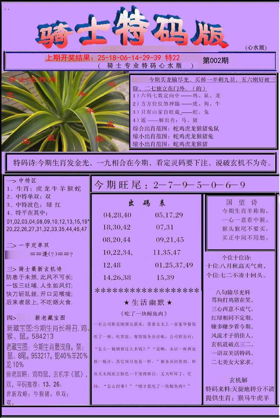2025002期骑士特码版