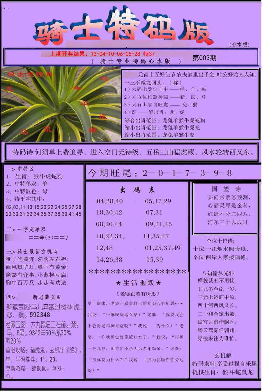 2025003期骑士特码版
