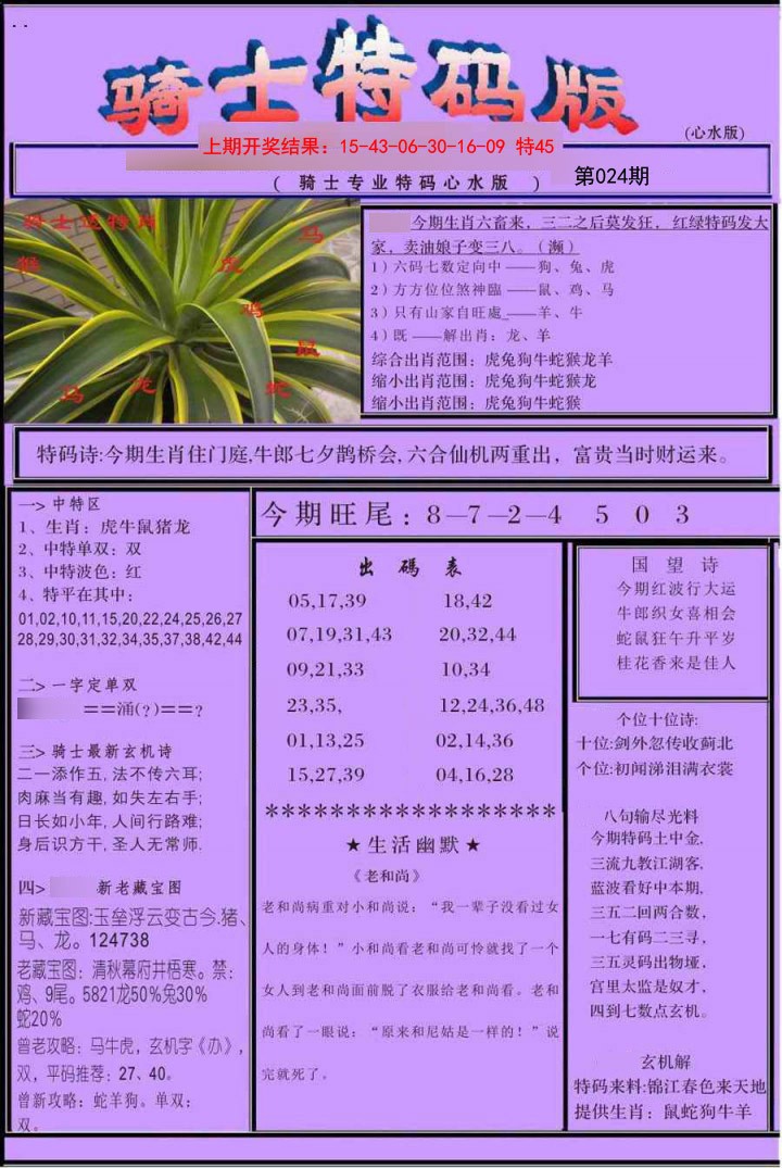 2025024期骑士特码版
