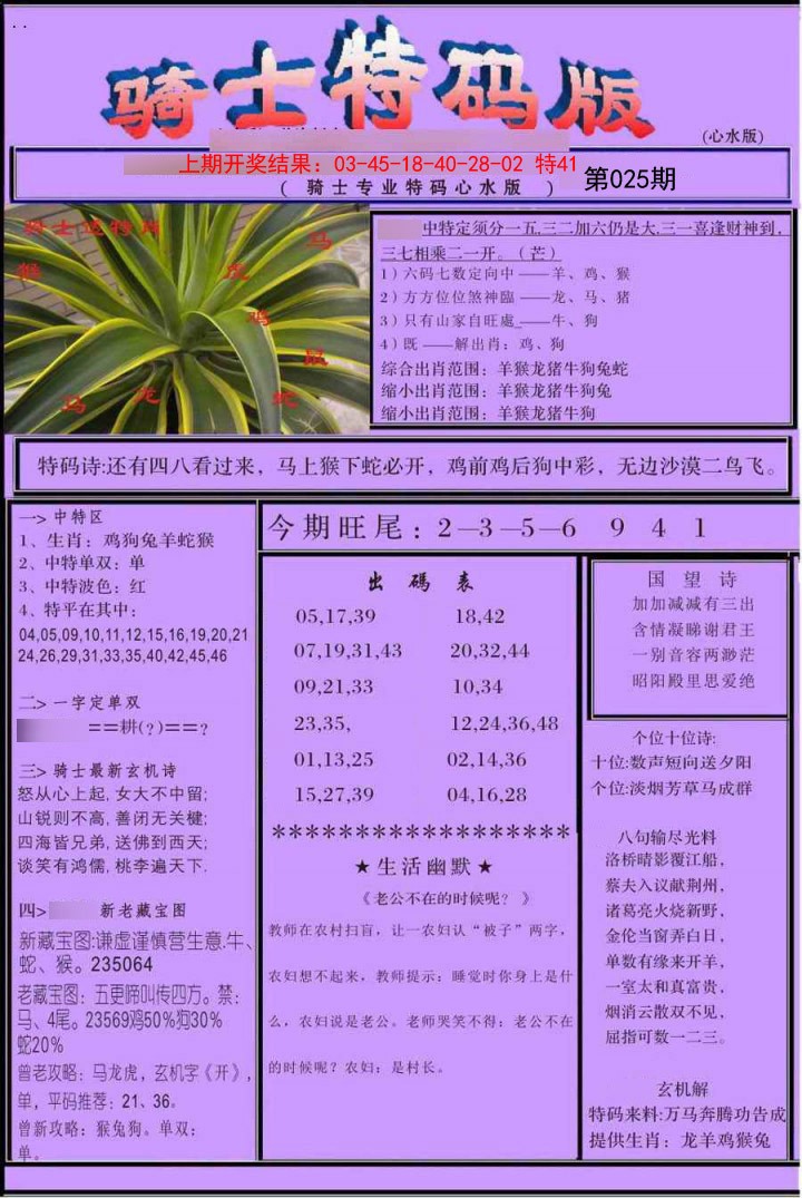 2025025期骑士特码版