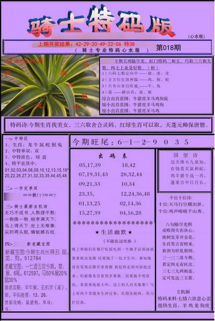 2025018期骑士特码版