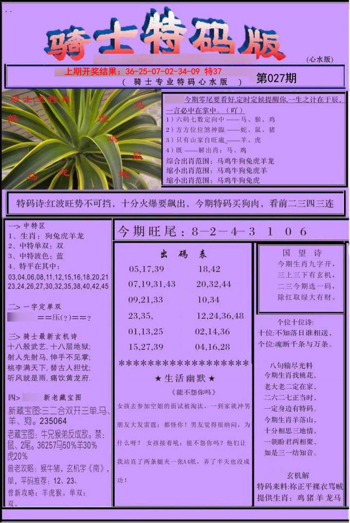 2025027期骑士特码版