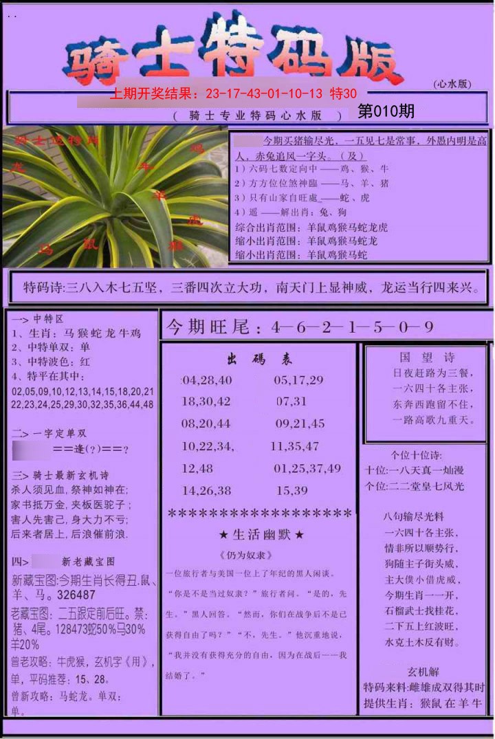 2025010期骑士特码版
