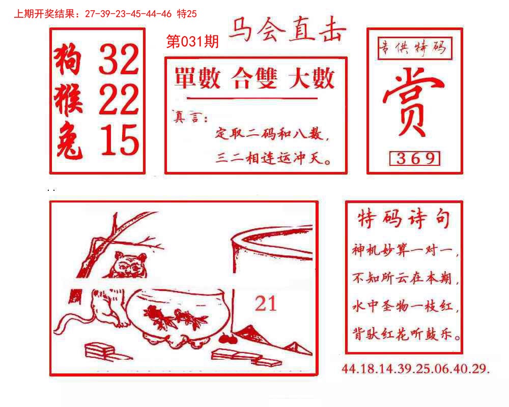 2025031期马会直击