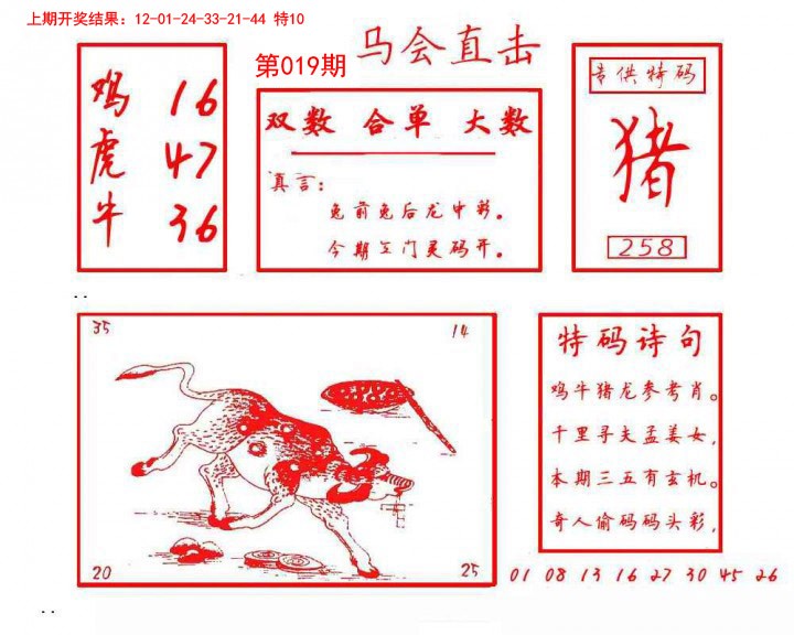 2025019期马会直击