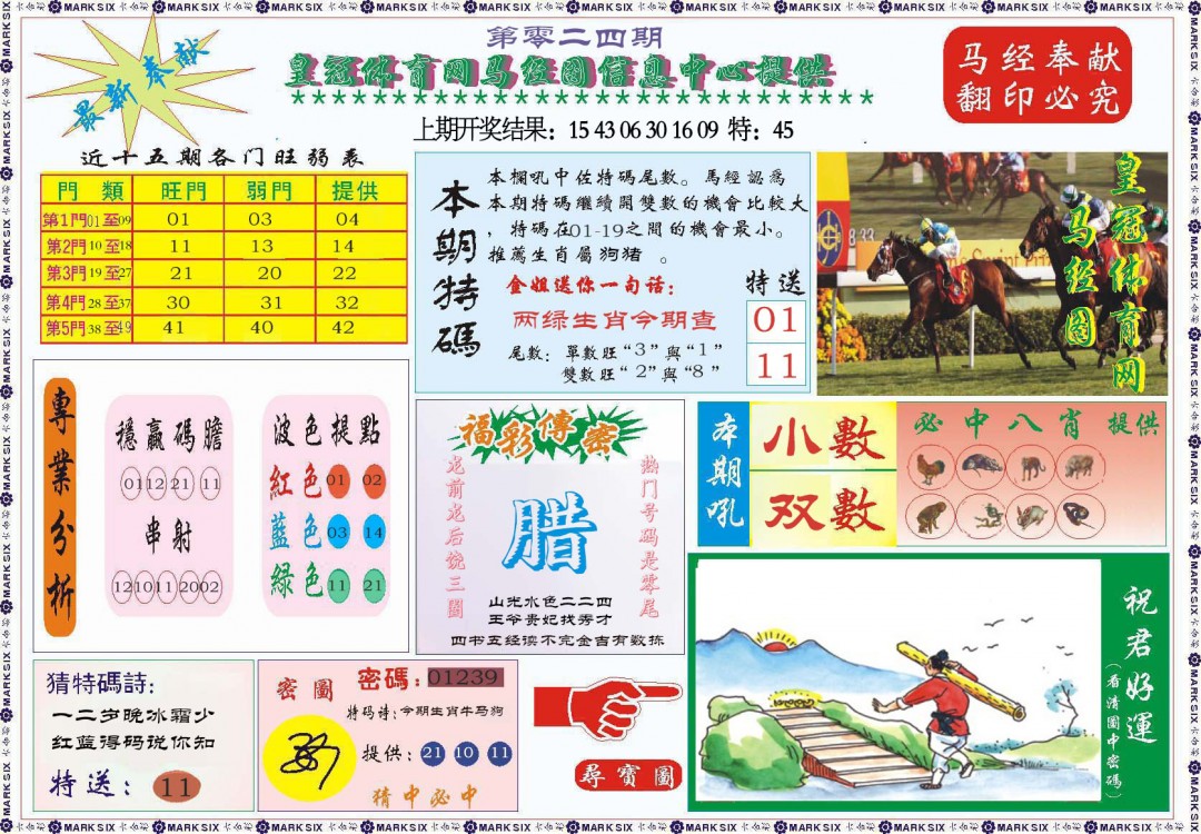 2025024期体育网马经图
