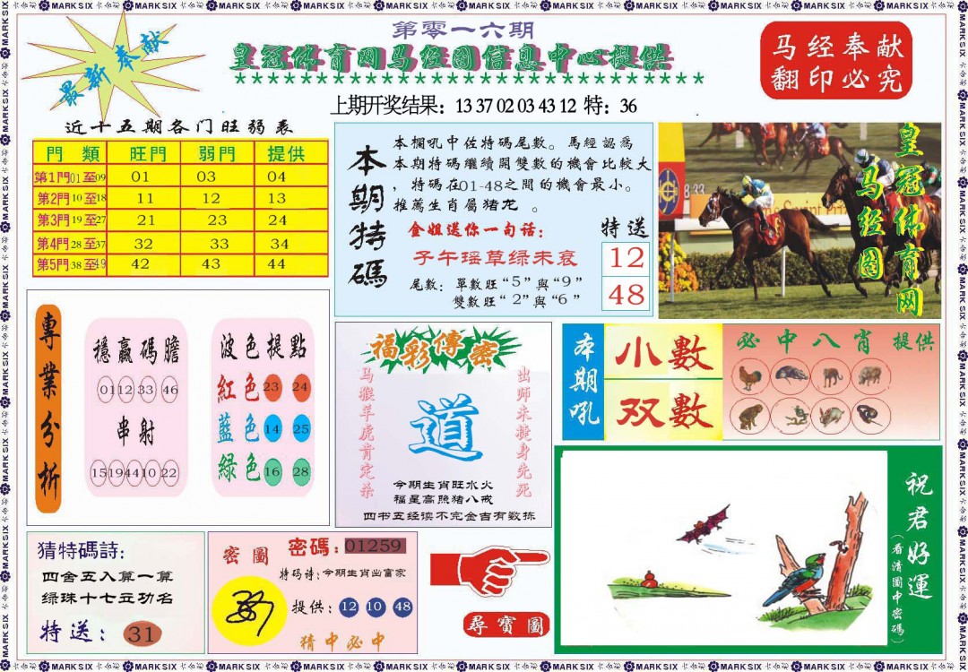 2025016期体育网马经图