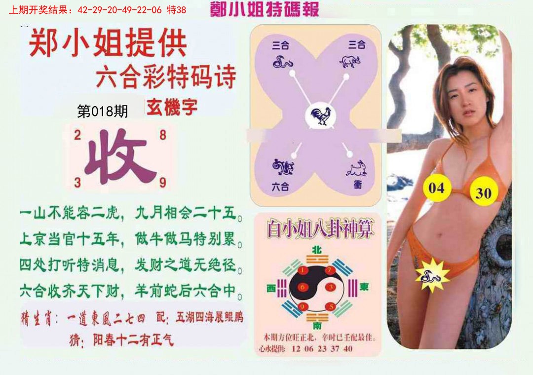 2025018期郑小姐特码报B