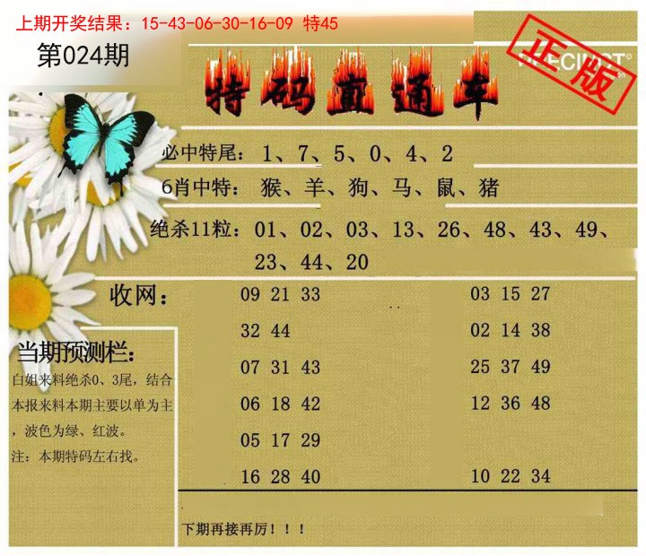 2025024期特码直通车