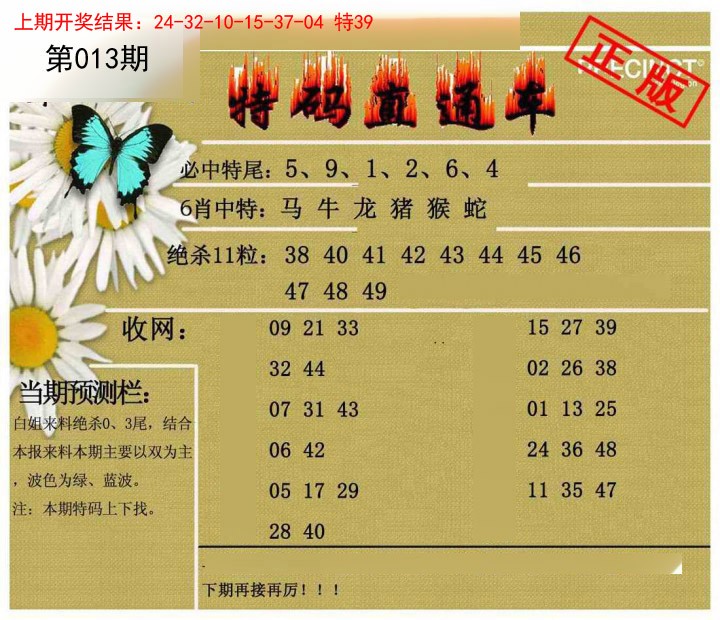 2025013期特码直通车