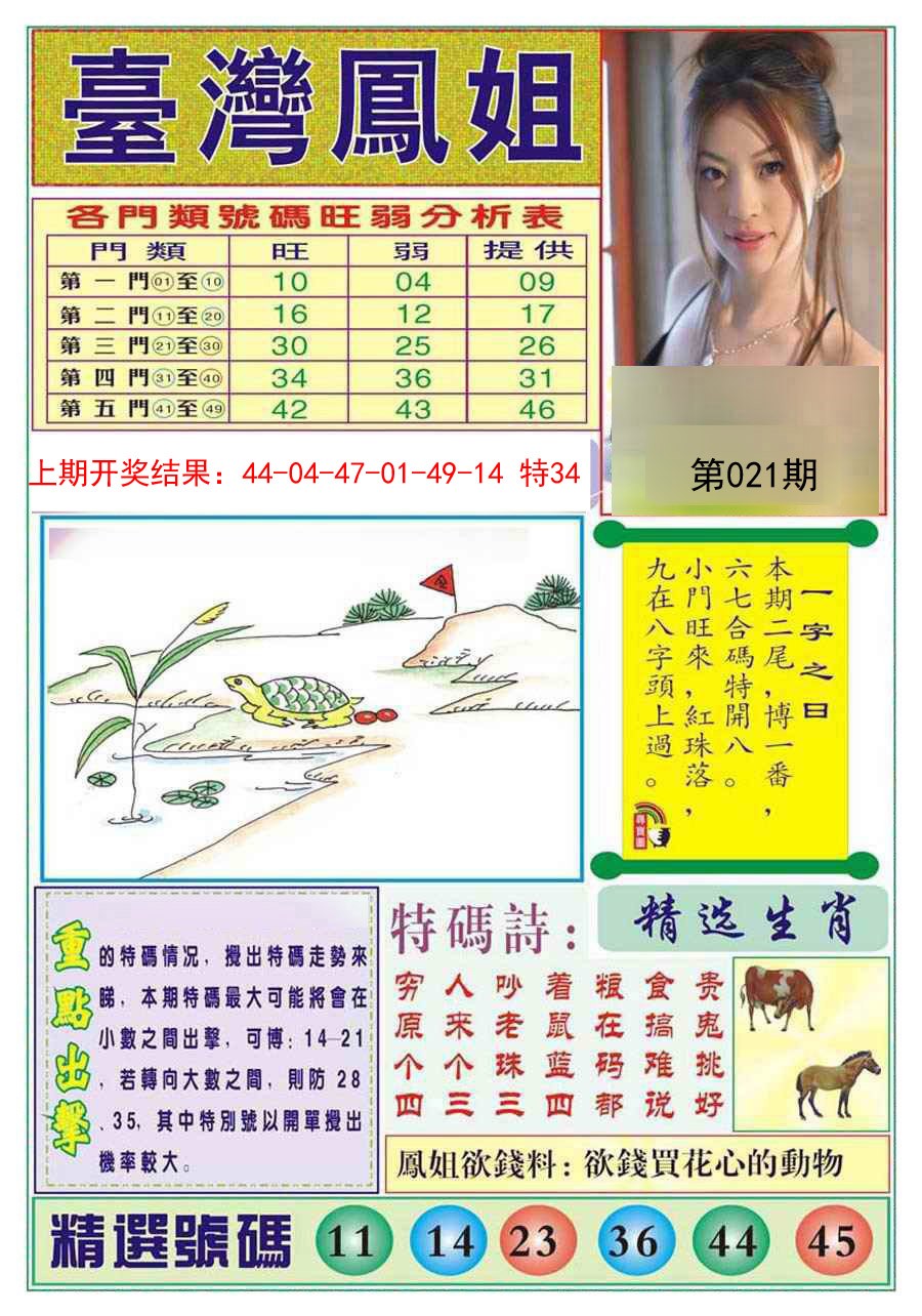 2025021期台湾凤姐