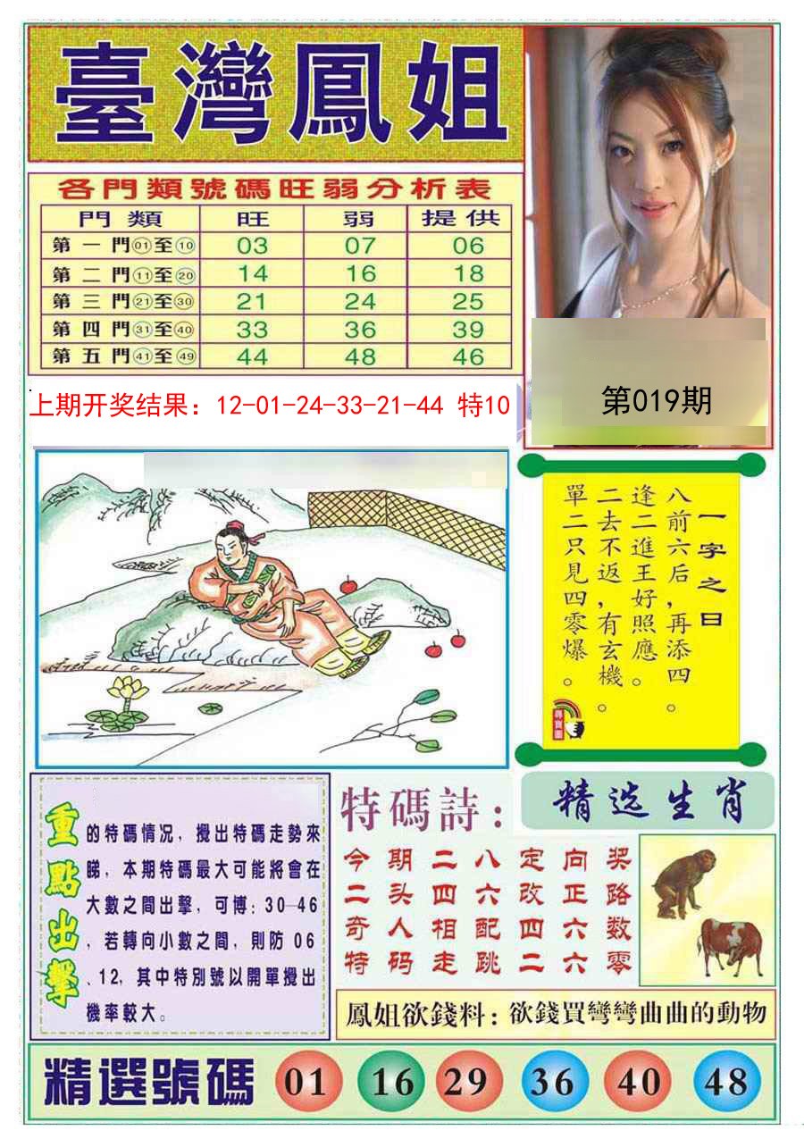 2025019期台湾凤姐