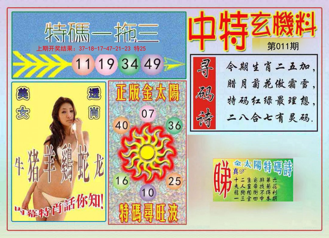 2025011期中特玄机料