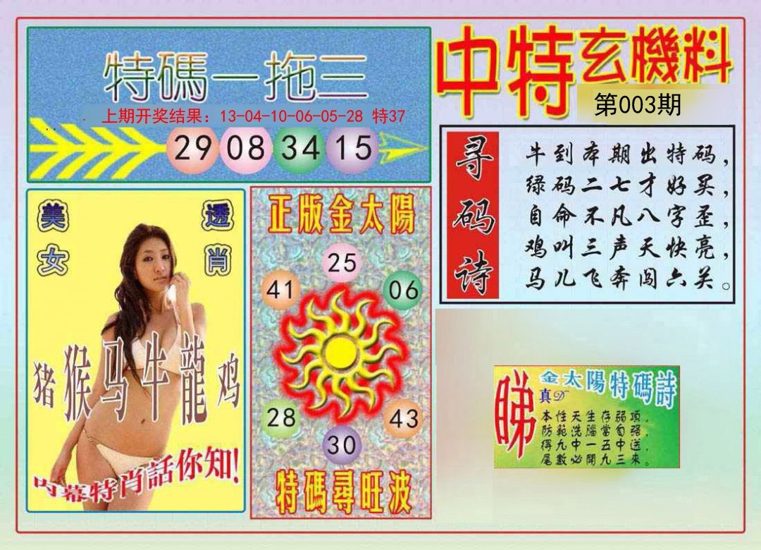 2025003期中特玄机料