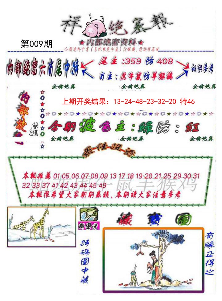 2025009期金鼠绝密图