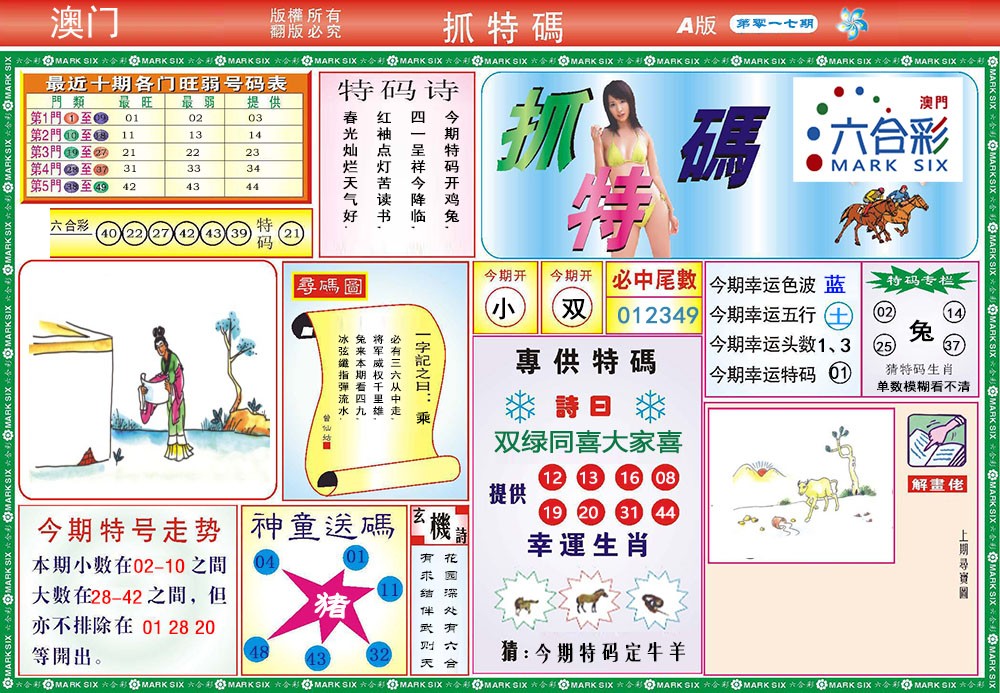 2025017期118抓特码A