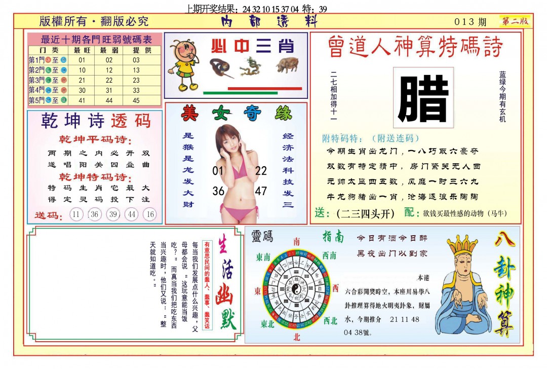 2025013期内部透料B
