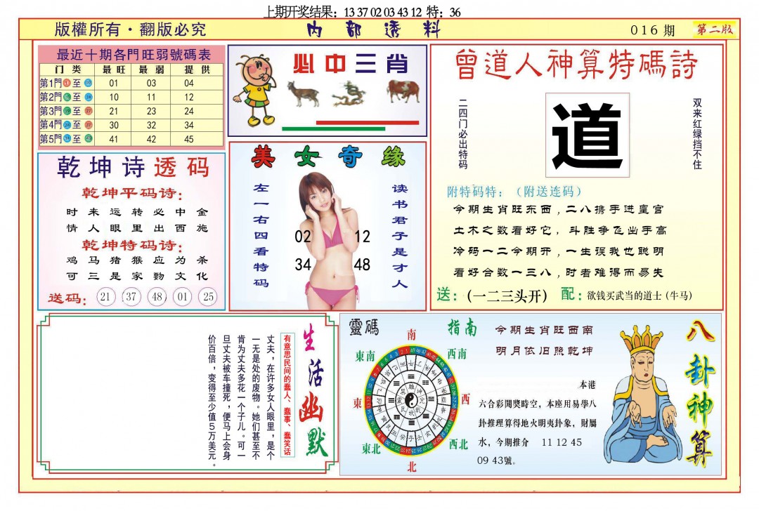 2025016期内部透料B
