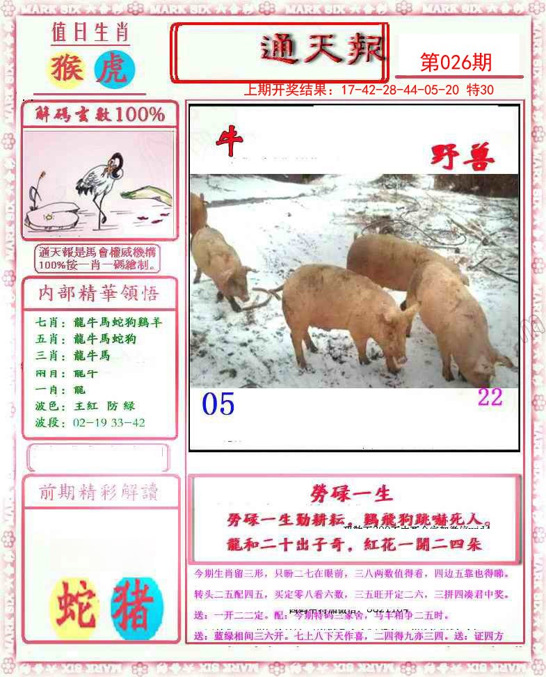 2025026期小喜通天报