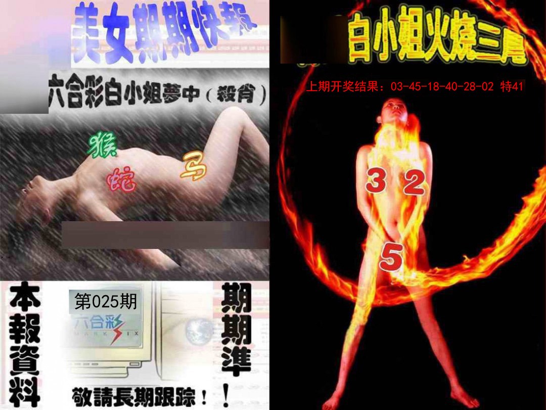 2025025期环球美女特码报