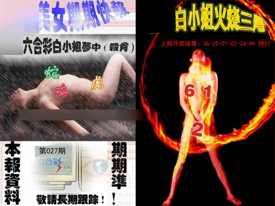 2025027期环球美女特码报