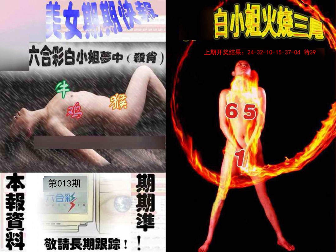 2025013期环球美女特码报