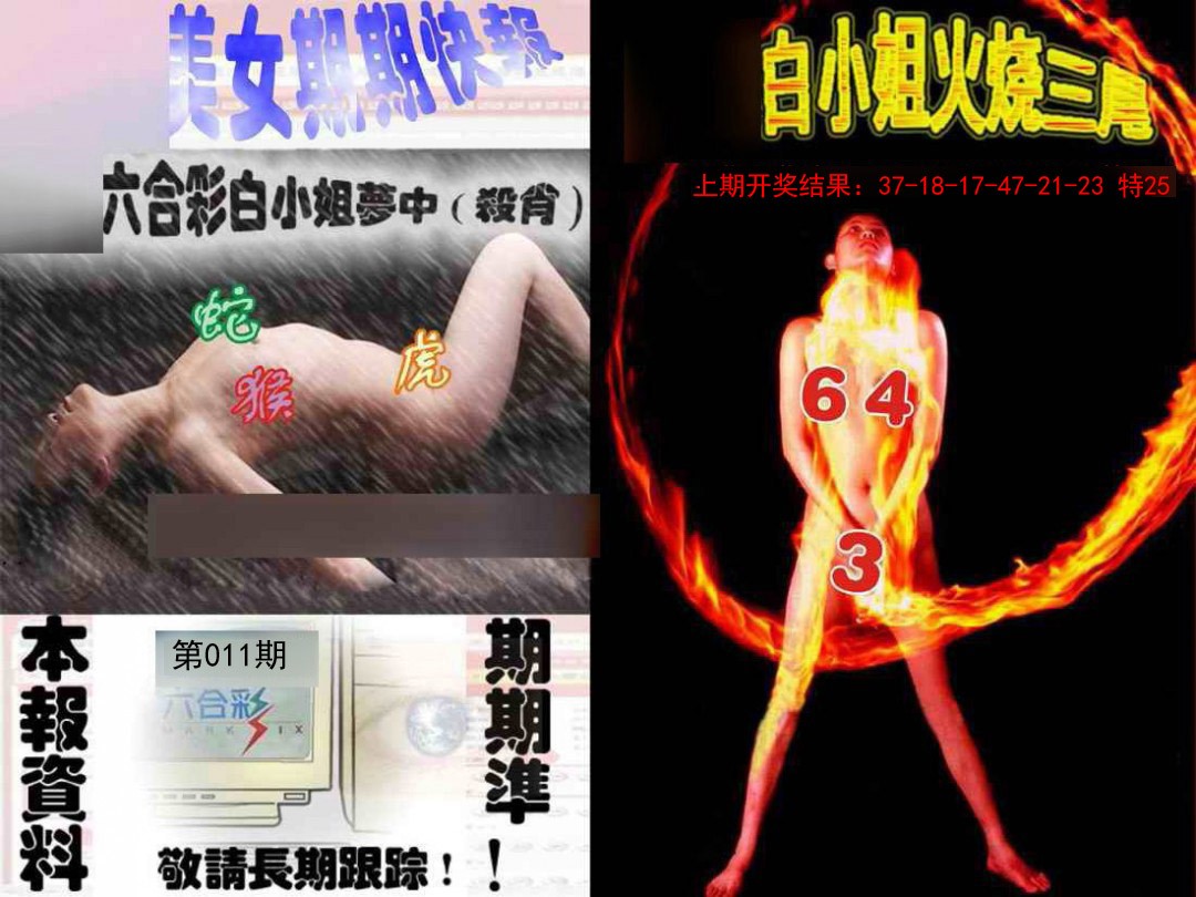2025011期环球美女特码报