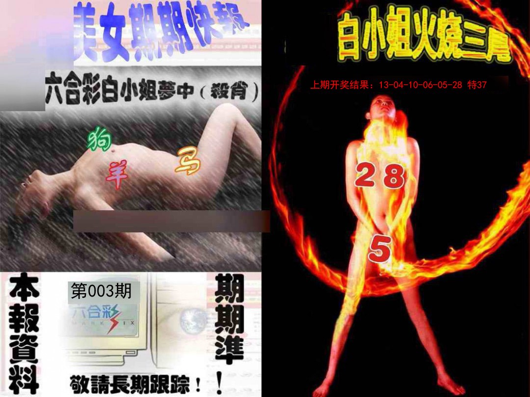 2025003期环球美女特码报