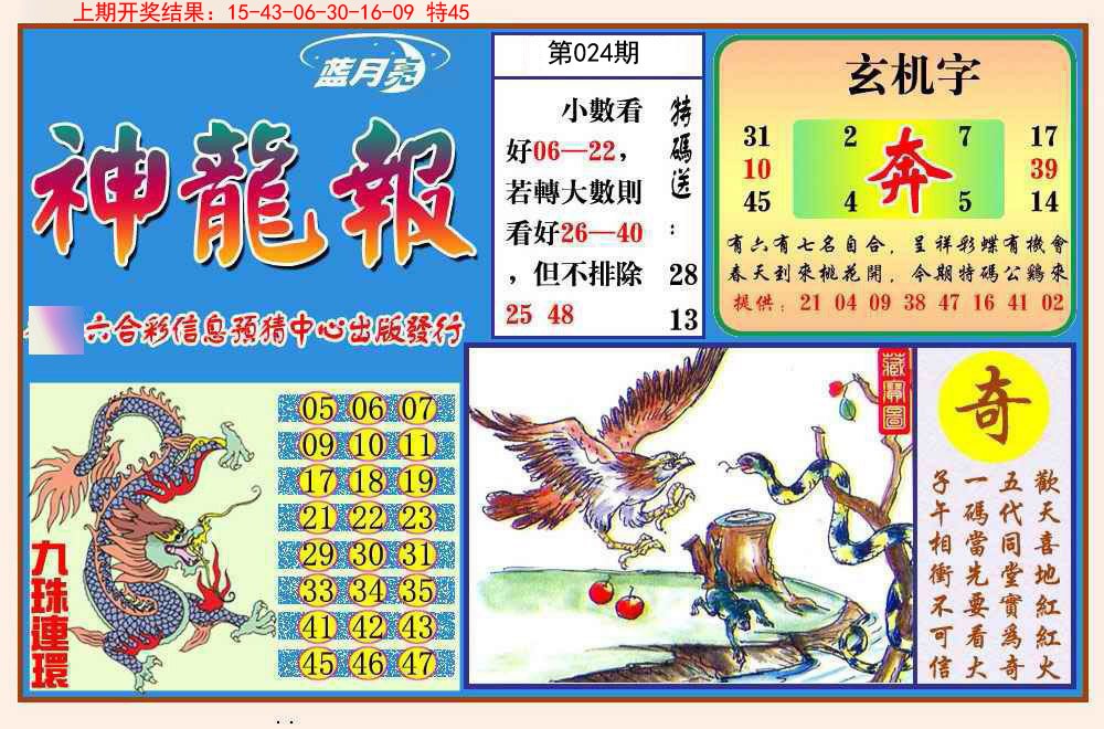 2025024期神龙报