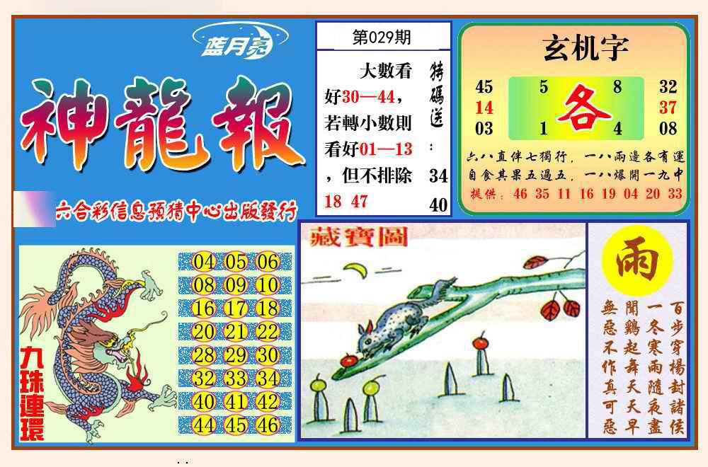 2025029期神龙报