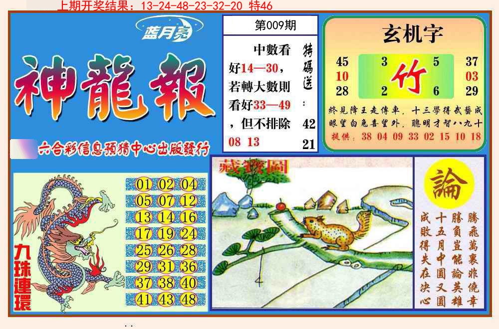 2025009期神龙报